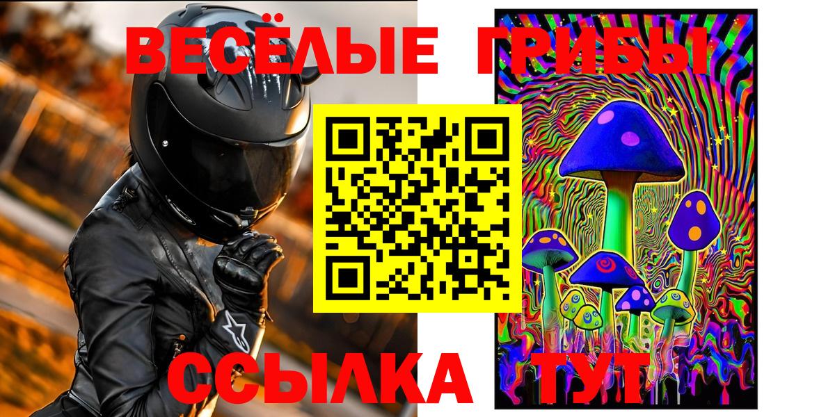 Курчатов  купить наркоту  Вход с VPN  Галлюциногенные грибы Psilocybine cubensis 